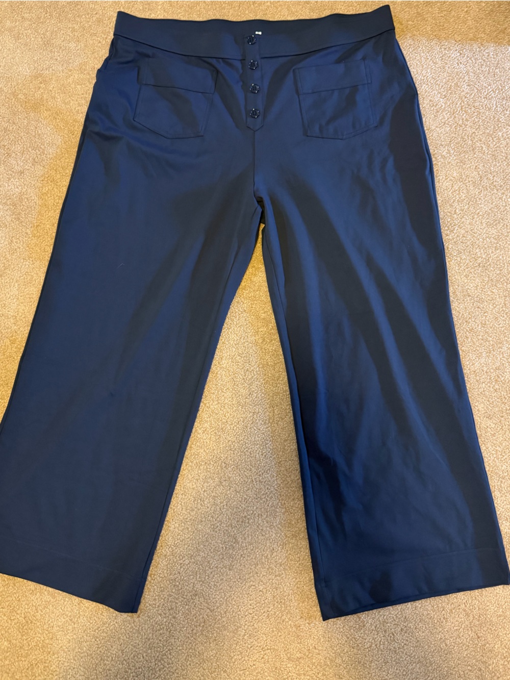Halara DayStretch High Waisted Pockets Straight Leg Casual Plus Size Pants